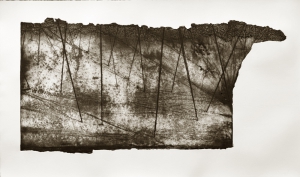 Forest, intaglio, 2009 Intaglio