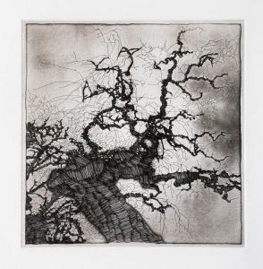 baum