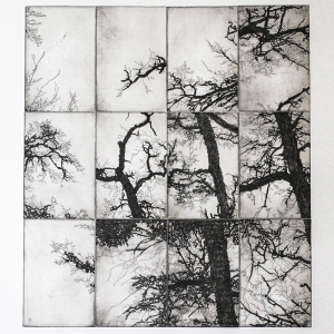 Wildwuchs VI, Etching/Aquatinta, 2016, 40×45 cm