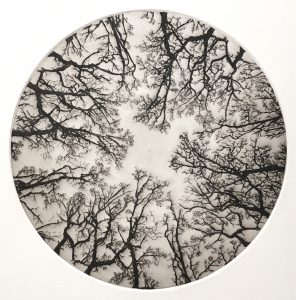 Look up, Etching, 2017, 18,5 cm ø