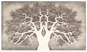 Reifen wie ein Baum, Etching/Aquatinta, 2015 Etching