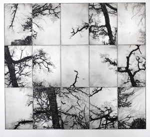 Wildwuchs III, Etching, 2016, 45×50 cm