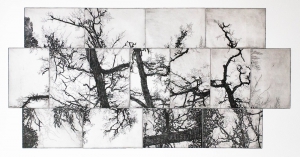 Wildwuchs IV, Etching, 2016, 70×35 cm