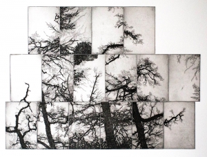 Wildwuchs V, Etching, 2016, 45×62 cm