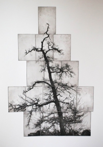Wildwuchs original, Etching, 2015, 75×50 cm