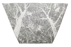 Mirror (in progress), etching, 2019, 38×54 cm