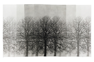 treeeeees, etching, 2019, 25×41 cm