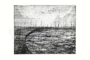 After all, etching, 2020 Edition of 25 After all, etching, 2020 Edition of 25