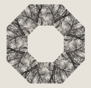 IMG_9265hex
